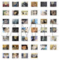 Fullmetal Alchemist Instant Photo Style Collection Card - Blind Pack