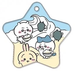 Chiikawa 6th Edition Irregular Acrylic Charm