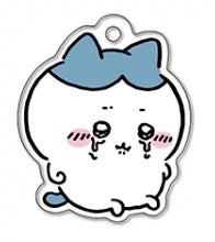 Chiikawa 6th Edition Irregular Acrylic Charm