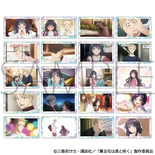The Fragrant Flower Blooms with Dignity Memorial Clear Card Collection - Blind Pack