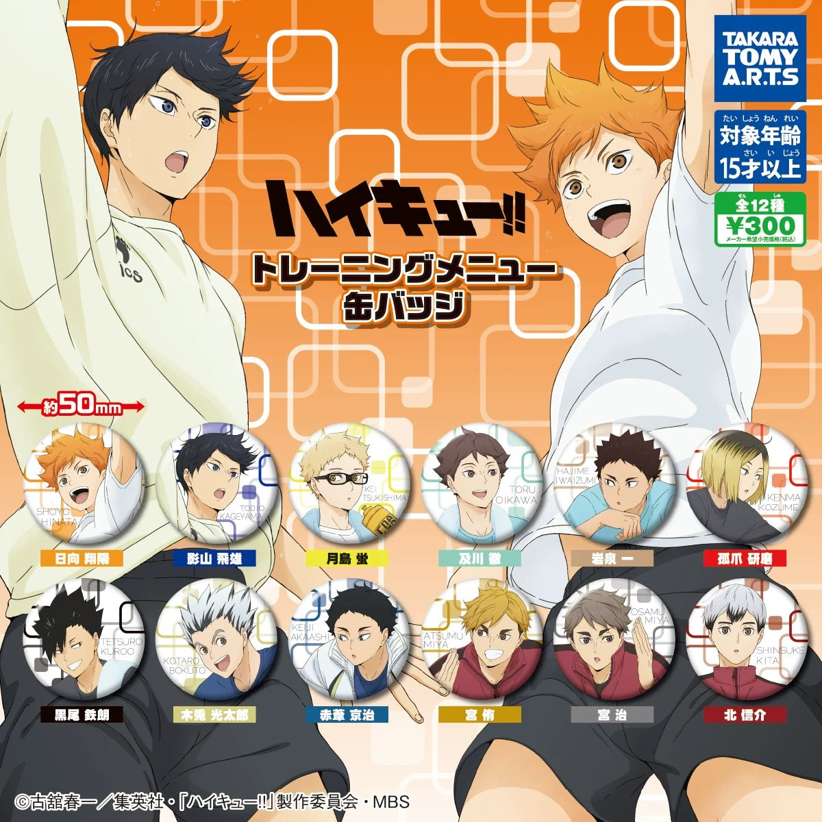 HAIKYU!! Warm-up Training Can Badge Gacha